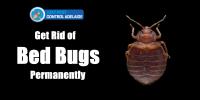 247 Bed Bug Control Adelaide image 3